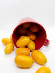 Citrus japonica, Kumquat, Cumquat 