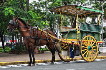 Naklejka na ściany i meble Horse drawn kalesa-calash on Sto.Tomas Street facing the Cathedral. Intramuros-Manila-Philippines-0969