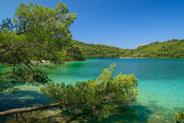 salt water lake with green pine forest and azure blue water on the beautiful island of Mljet, national park, Croatia, South Dalmatia