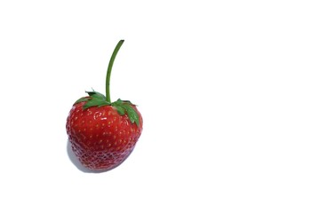 A single of red fresh stawberry on white isolated background 