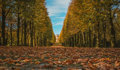 Autumn in park in Potsdam, Germany