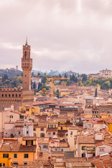 Fototapeta na wymiar Beautiful view of city skyline, towers, basilicas, red-tiled roofs of houses and mountains, Florence, Italy