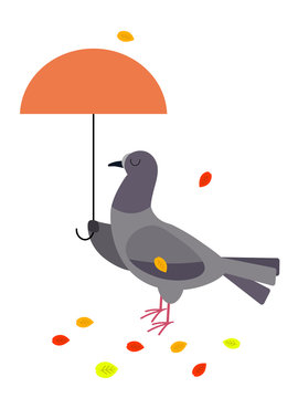 A dove with a parasol