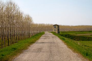 Fototapeta premium Monticelli Pavese (Pavia, Lombardia)