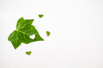 Obraz premium Isolated green leaf, with a perforated heart and three small hearts.