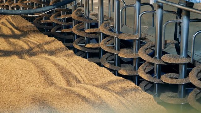 Drying equipment working with seeds, close up.