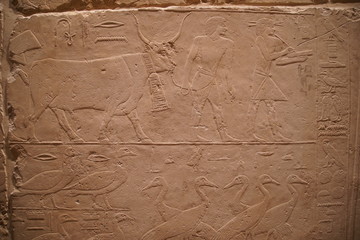 ancient wall carving