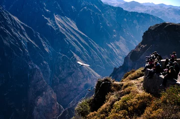 Foto op Canvas Tourists captureing a condor flying through colca canyon © W.S.Wagner