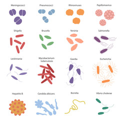 Big colorfull set with different dangerous viruses and germs with its names. Vector illustration for education on microbiology