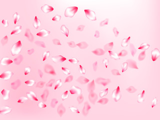 Japanese cherry blossom pink flying petals