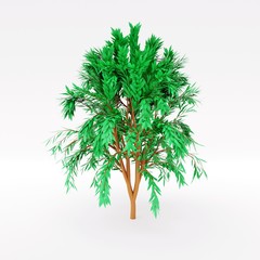 3d rendering of tropic tree