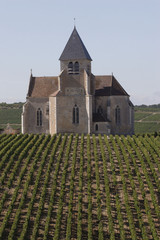 --Bourgogne - vignoble