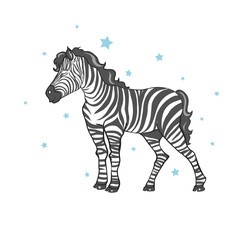 Fototapeta na wymiar cute zebra vector illustration