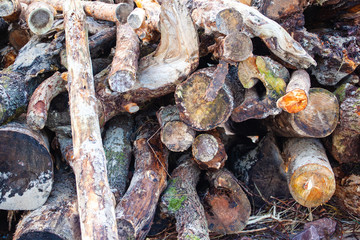 large pile of raw, old logs and firewood, background, texture