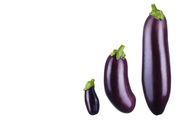 Photo of eggplant on a white background copy space.Fresh eggplant isolated on a white background. Isolated eggplant.