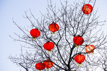 Chinese New Year decoration balls