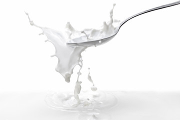 Milk splash in spoon with milk on white background.Frozen moment on the photograph of the spray of milk on white background.Splash milk with high-speed photos.