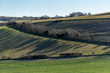 Countryside around Folkington in East Sussex