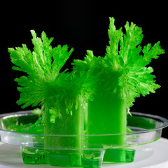 Green crystal. Cultivation of radiant crystals close-up on a photo.