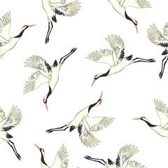 crane birds vector illustration