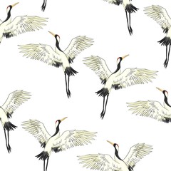 crane birds vector illustration