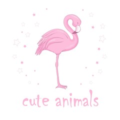 Flamingo bird illustration design on background