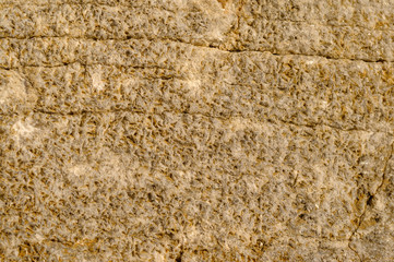 Surface with a texture of hardened stone shell stone. Designer background for interiors. Stone surface of yellow texture.