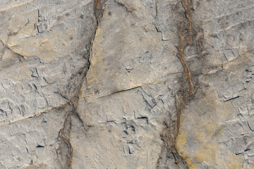 Natural background texture of a hard stone with a rump plan.