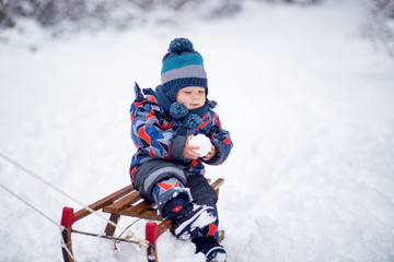Fototapeta na wymiar Adorable young boy on a sledge