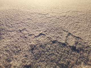 Snow in warm sunset light close-up picture  ,useful as a winter season background or texture