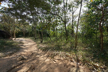 Naklejka na ściany i meble Siem Reap,Cambodia-January 9, 2019: A steep mountain path towards Kbal Spean in Siem Reap, Cambodia