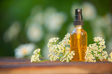 Essence of flowers on table in beautiful glass jar