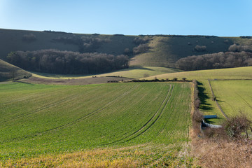 Countryside around Folkington in East Sussex