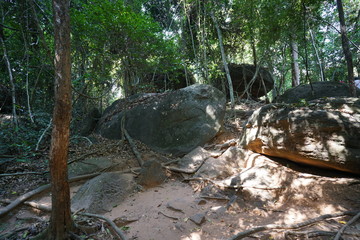 Obraz premium Siem Reap,Cambodia-January 9, 2019: A steep mountain path towards Kbal Spean in Siem Reap, Cambodia 