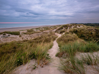 Small pathway on marram grass covered dunes with the North Sea in the background