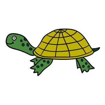 Cartoon doodle linear turtle isolated on white background. Vector illustration.  