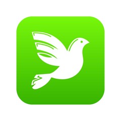 White peace pigeon icon green vector isolated on white background