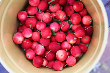 crab apples