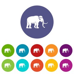 Obraz premium Mammoth icons color set vector for any web design on white background