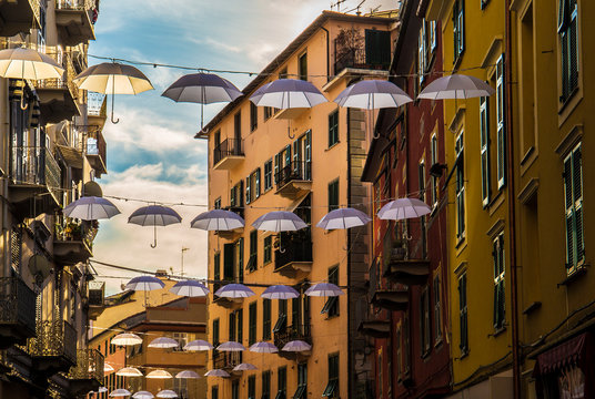 Decorative umbrellas in La Spezia, Liguria (Italy)