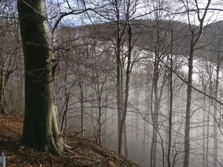 Passo del Melogno (Liguria, Appennino Ligure)