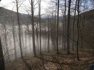 Passo del Melogno (Liguria, Appennino Ligure)