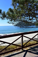 Beach with pine tree, white sand and wooden boardwalk. Blue sea, sunny day, Galicia, Spain.