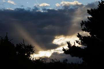 Fototapeta premium Dark clouds and bright lights beyond the trees in Cantabria
