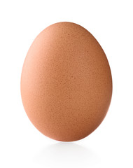 Single brown chicken egg