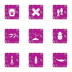 Botanist icons set. Grunge set of 9 botanist vector icons for web isolated on white background