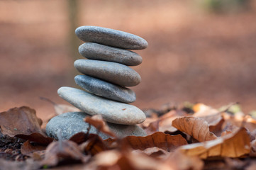 Closeup of stone balance on autumnal leaves in the forest