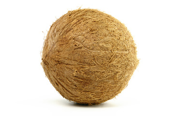 Single Coconut