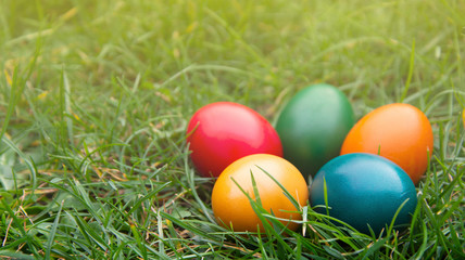 Fototapeta na wymiar Easter colorful eggs in fresh green grass. Spring, easte holiday background with copy space.