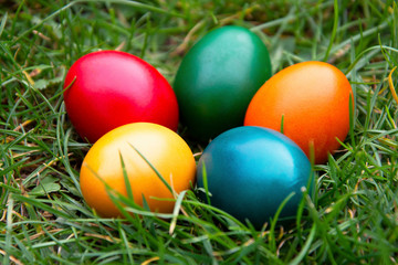 Fototapeta na wymiar Easter colorful eggs in fresh green grass. Spring, easte holiday background with copy space.